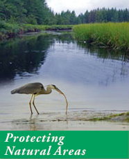 Protecting Natural Areas