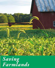 Saving Farmlands