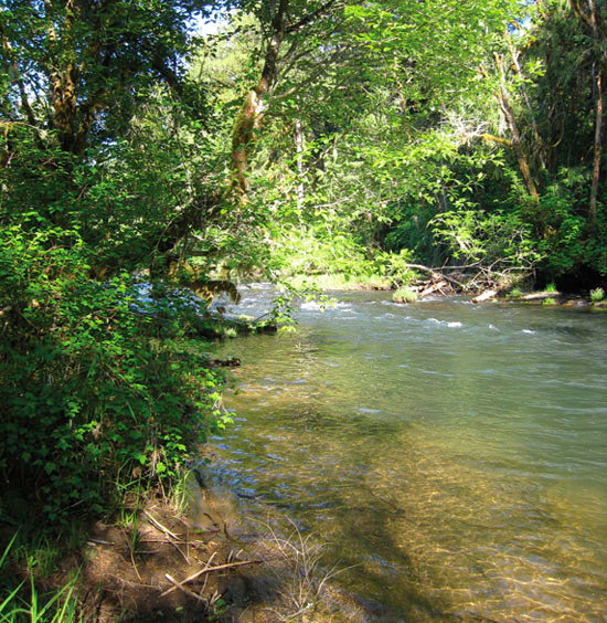 Fall Creek